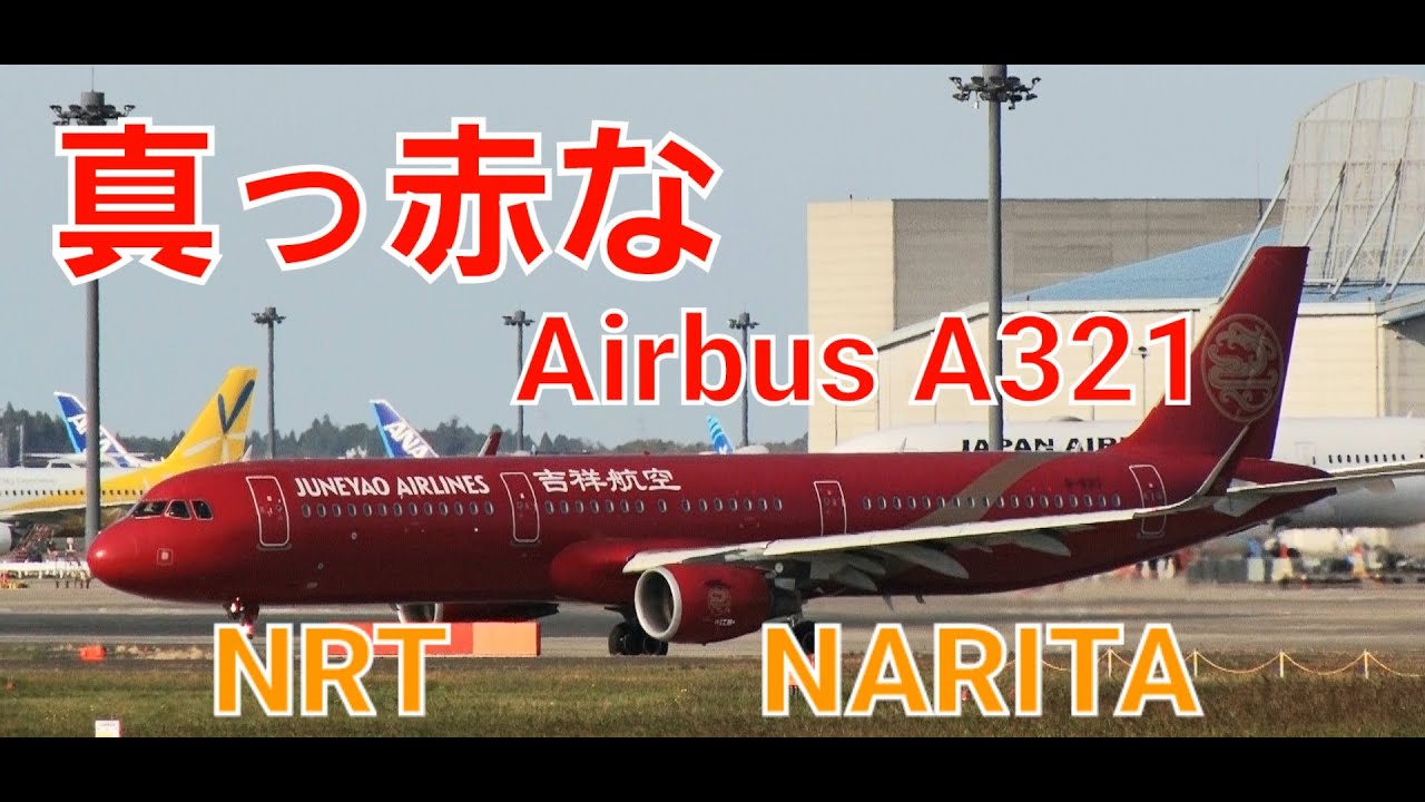 ✈✈RJAA成田空港!超ド派手な真紅な特別塗装機 吉祥航空 (Juneyao