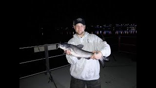 FALL CATFISHING EVENT IN D.C. W/CATFISH AND CARP