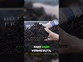 DIY Potting Mix for Healthy Strawberry Plants!  #garden #strawberry #diy