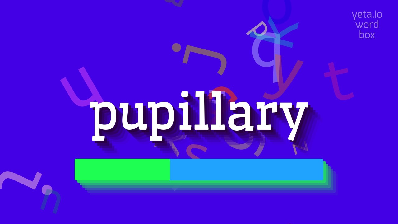 How To Say pupillary High Quality Voices YouTube how-to-say-pupillary-high-quality-voices-youtube