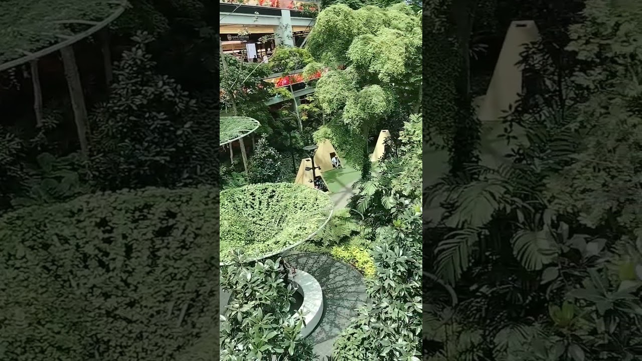 Qatar airport inside view