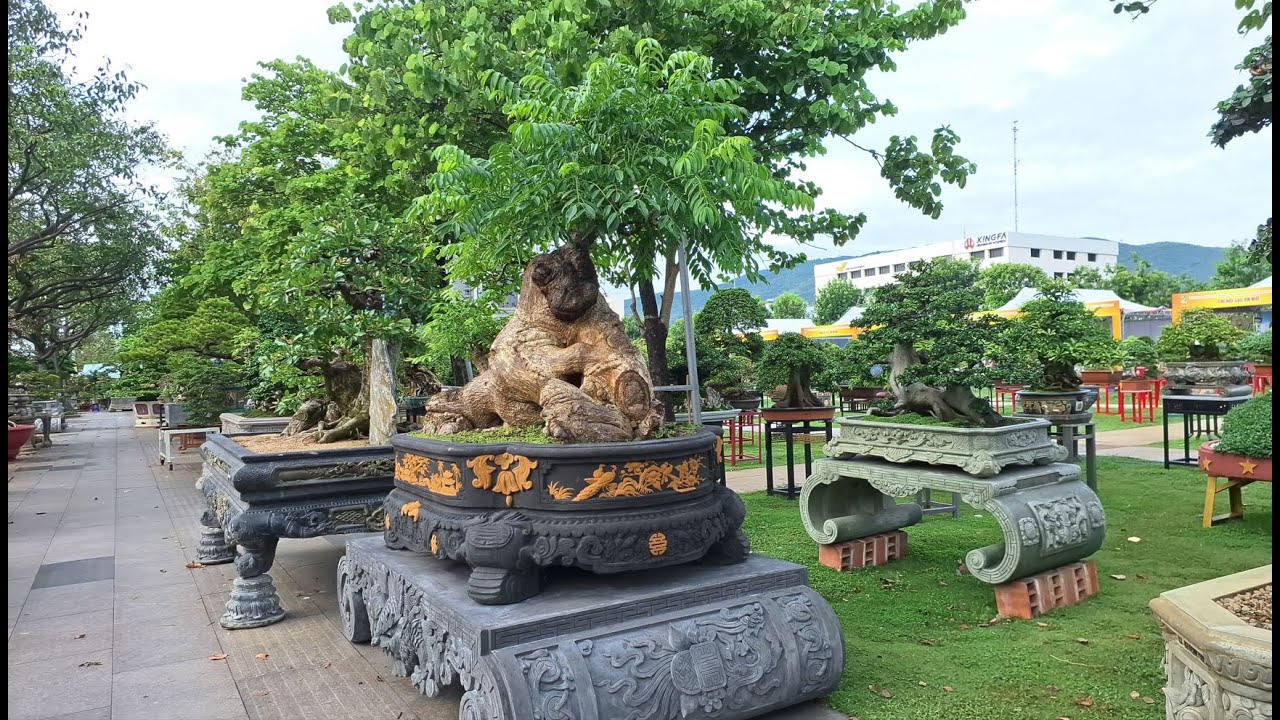 TRIỂN LÃM SINH VẬT CẢNH TỈNH GIA LAI LẦN THỨ NHẤT NĂM 2025