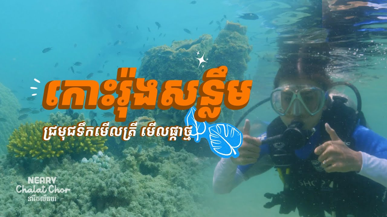 ច្រមុជទឹកមើលផ្កាថ្ម មើលត្រី នៅកោះរ៉ុងសន្លឹម | Discovering of Scuba Diving at Koh Rong Samloem