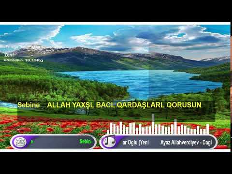 Tik Tok Azerbaycan 7/24 Canli Yayin