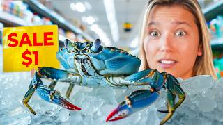 Raising a Grocery Store Crab as a Pet