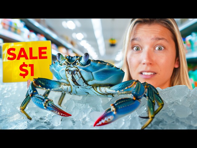 Raising a Grocery Store Crab as a Pet class=