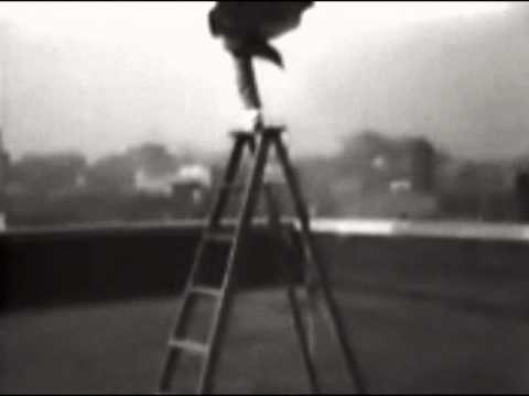 The Amazing Johnny Eck
