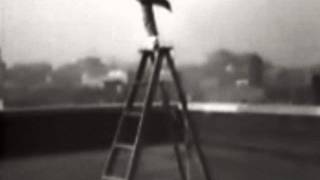 The Amazing Johnny Eck Details