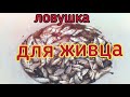 Ловушка верша,для живца из ПЭТ бутылки