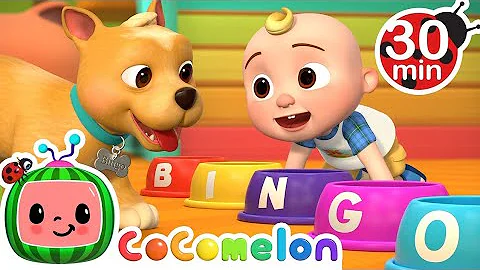 Bingo Was His Name-O + MORE Dog Songs! CoComelon Nursery Rhymes & Animal Songs