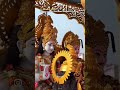 Jai shree ram 🚩🚩🚩