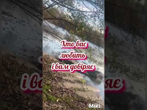 Осені чарівні кольори Automobile новамузика 