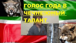 Юнный талант в Чечне!!Алиев Юсуп Я Волк !Песня года в России Юнный талант в Чечне!!Алиев Юсуп Я Волк !Песня года в России