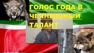 Юнный талант в Чечне!!Алиев Юсуп Я Волк !Песня года в России