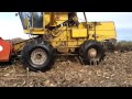 Araus 505 cosechando maíz inundado , Harvesting corn in water with 505 araus