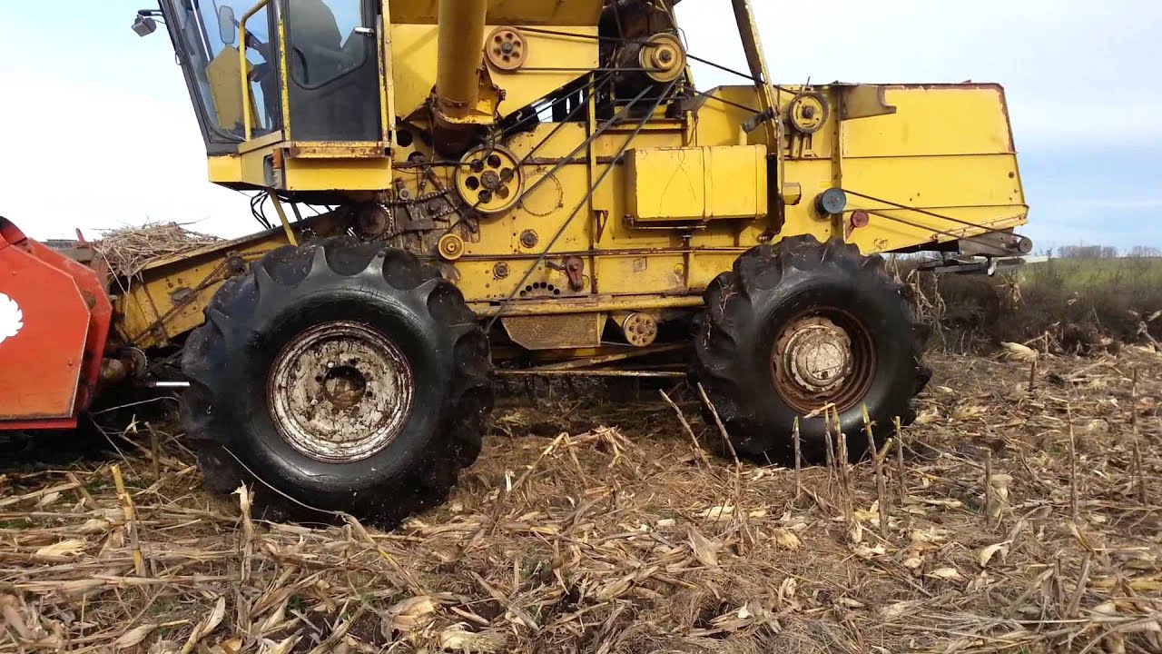 Araus 505 cosechando maíz inundado , Harvesting corn in water with 505 araus
