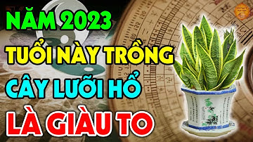 Năm 2023 CÂY LƯỠI HỔ Sẽ Hút Tiền Bạc Ầm Ầm, Giàu Sang Bủa Vây Nếu Rơi Vào Tay Con Giáp Này