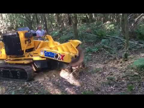 Stump Grinding in Haywards Heath
