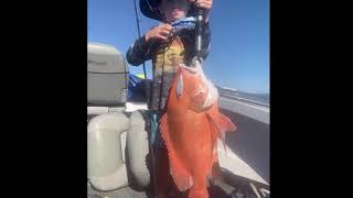 Karratha spearfishing