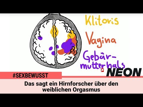 Das Sagt Ein Hirnforscher über Den Weiblichen Orgasmus A Neuroscientist S Perspective On Orgasm 