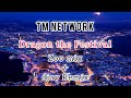 TM NETWORK『Dragon the Festival』Zoo mix+djay Remix(歌詞付き)