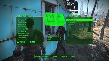 Fallout 4 - NPC stuck walking in the wall