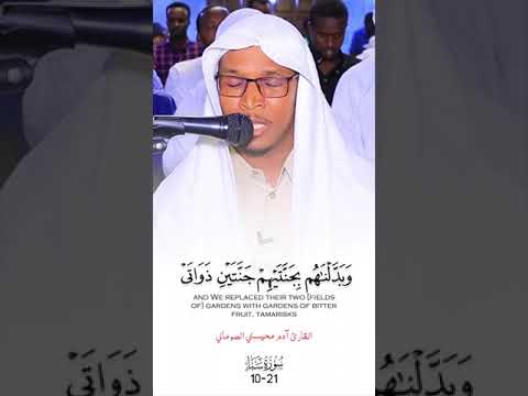 القارئ آدم محيسني الصوماني سورة سبأ