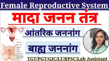Reproductive System | Human Physiology Classes By Divya Mishra ma