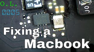 Macbook Air, no green light: chip randomly died.