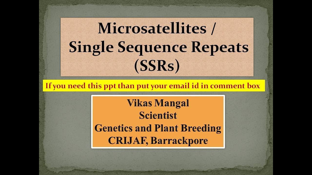 Microsatellites | Single Sequence Repeats (SSRs) Markers
