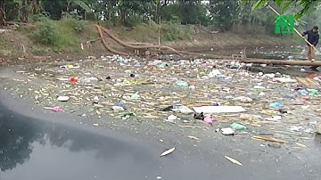 VTC14 | Nước thải ô nhiễm đang khiến 2.000 con sông ở Việt Nam chết dần