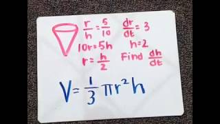 Calculus Project 2013