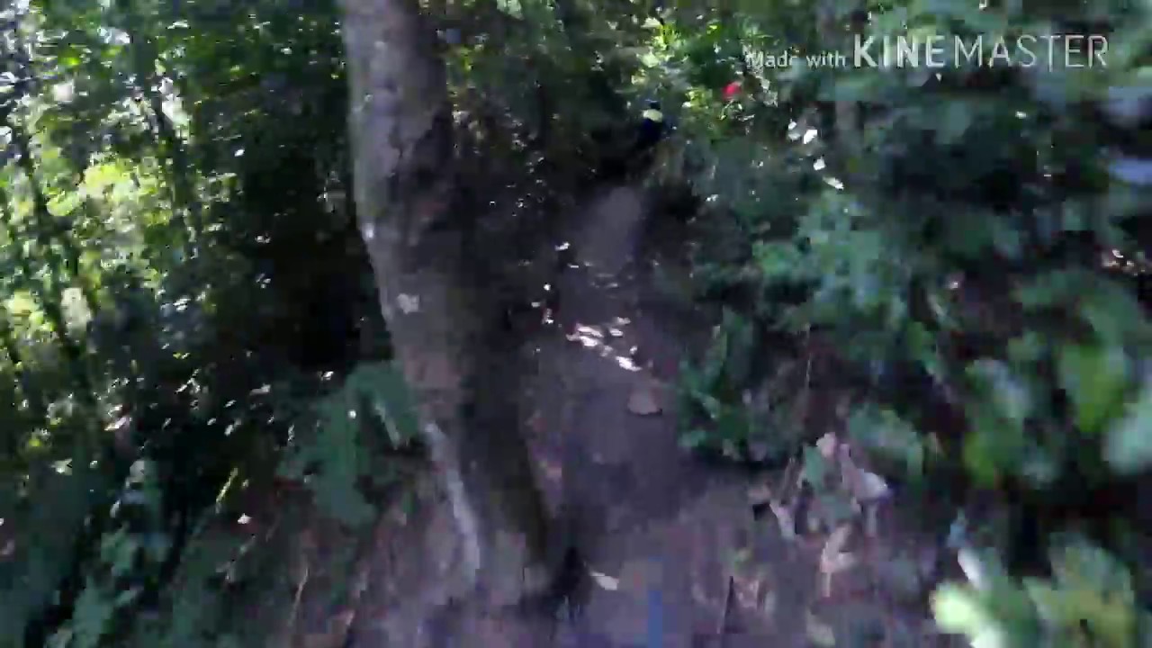 Kiara MTB Enduro 11th February 2018