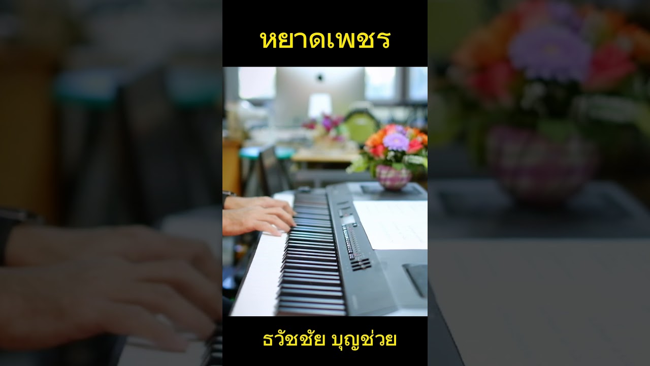 หยาดเพชร Shorts