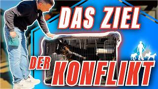 Das Training Beginnt Nicht Am Reiz