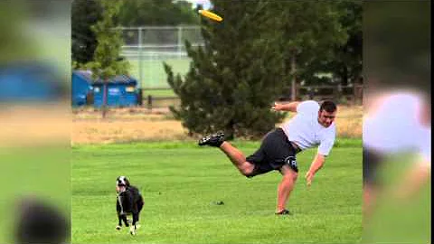 Frisbee Rob and Davy Whippet