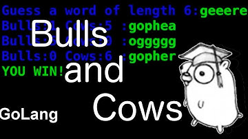 GoLang - Bulls and Cows - 03