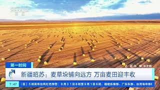 [第一时间]新疆昭苏：麦草垛铺向远方 万亩麦田迎丰收| 财经风云