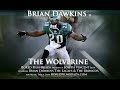 Brian Dawkins - The Wolverine