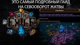 картинка: Path of Exile 3.24 | САМЫЙ ПОДРОБНЫЙ ГАЙД НА СЕВООБОРОТ! Теперь сможешь отсыпать семечек друзьям