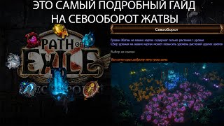 Path of Exile 3.24 | САМЫЙ ПОДРОБНЫЙ ГАЙД НА СЕВООБОРОТ! Теперь сможешь отсыпать семечек друзьям