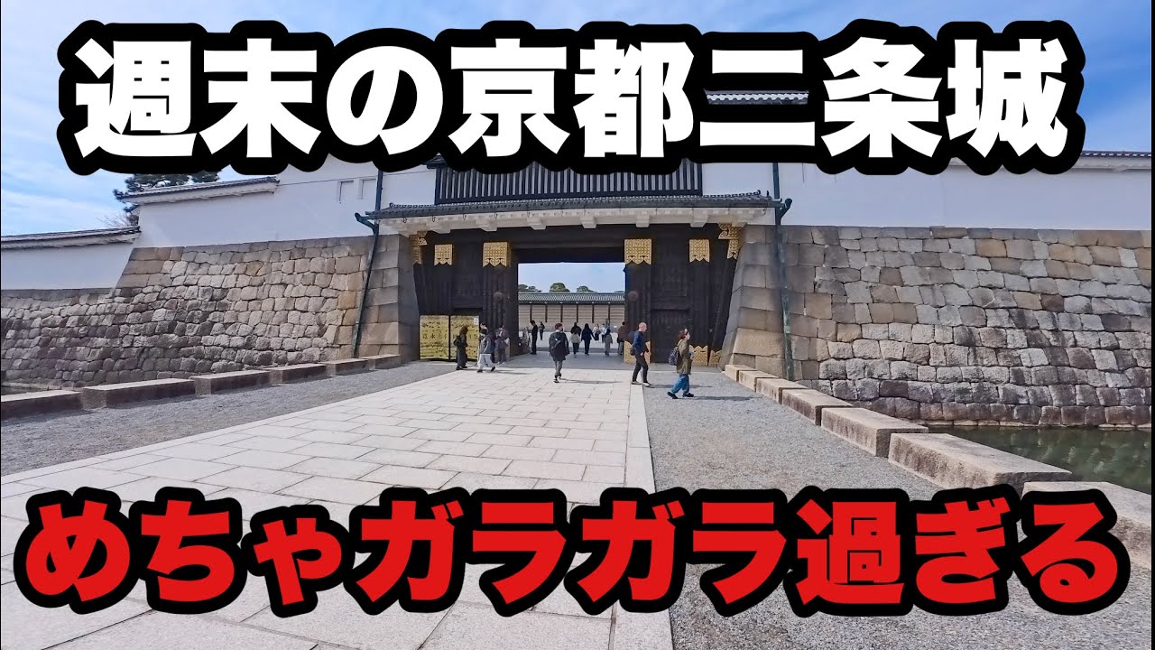 4K】2026年2月14日（土）週末の京都二条城、めちゃガラガラ過ぎる