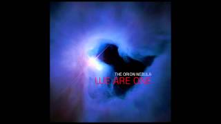 The Orion Nebula - We are one