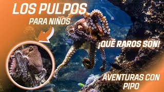 LOS PULPOS | ANIMALES EXTRATERRESTRES | PARA NIÑOS
