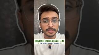 Monocot Leaf (Isobilateral Leaf) in 60 Seconds 🌿 | Bulliform Cells Trick | Biology