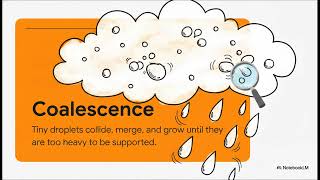 The Secret Life of Rain