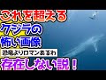 【2ch動物スレ】【閲覧注意】これを超えるクジラの怖い画像、多分ないだろw→でかすぎるだろ #生き物 #2ch