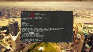 32 Using GREP in conjunction with the FIND command
