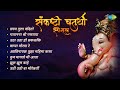       pratham tula vandito  gajanana shri ganraya  ganpati songs