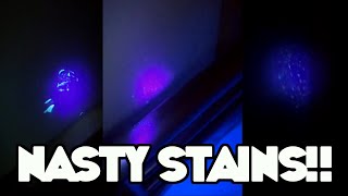 Nasty Stains Under Black Light at London's Worst Hotel #shorts